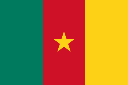 Cameroon Flag